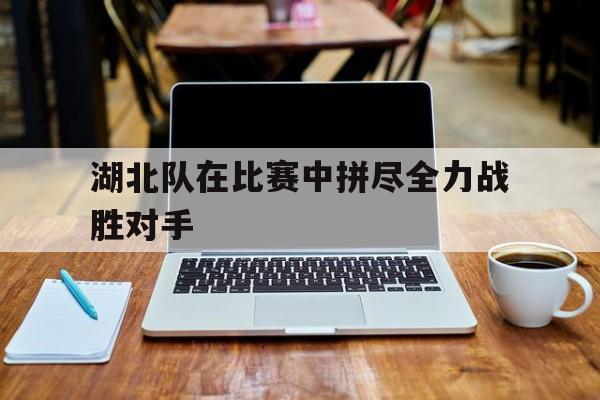 湖北队在比赛中拼尽全力战胜对手
